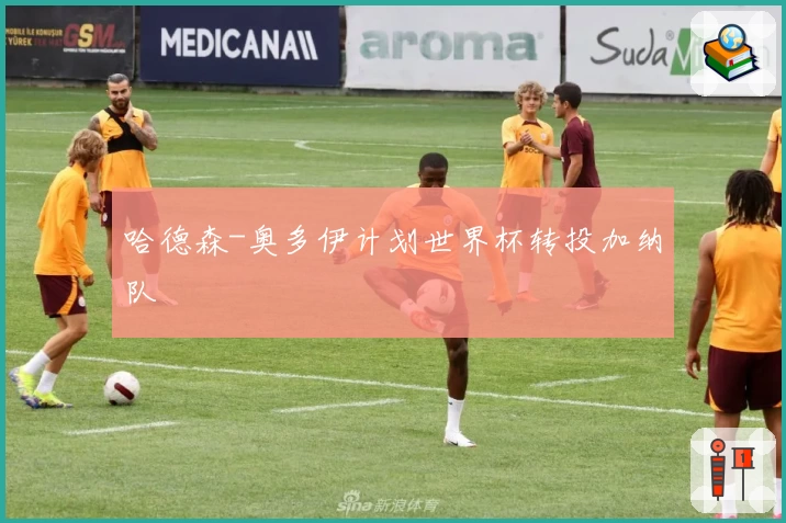 哈德森-奥多伊计划世界杯转投加纳队