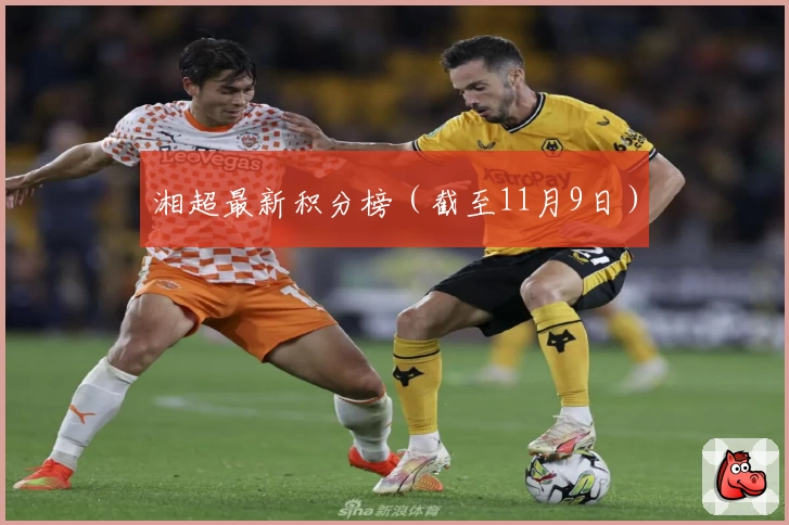 湘超最新积分榜（截至11月9日）