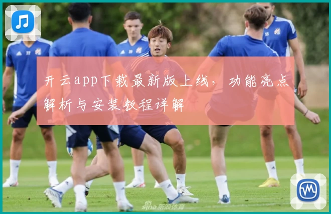 开云app下载最新版上线，功能亮点解析与安装教程详解